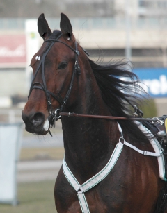 Stronghold  150325-7